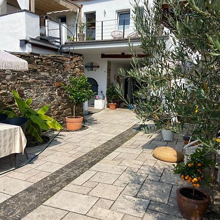 Ferienwohnung Zur Alten Schmiede Winningen Dış mekan fotoğraf